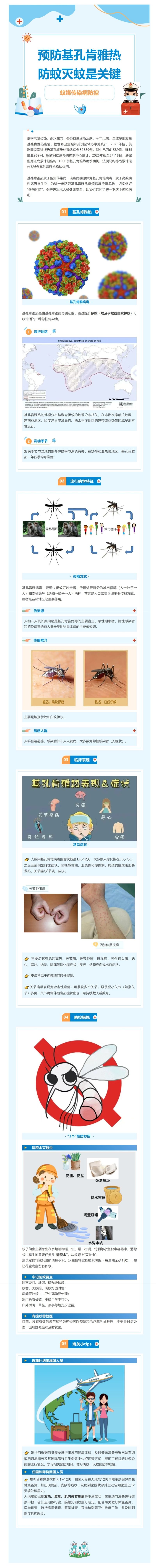 【江关小课堂】基孔肯雅热 小心蚊子惹的祸！