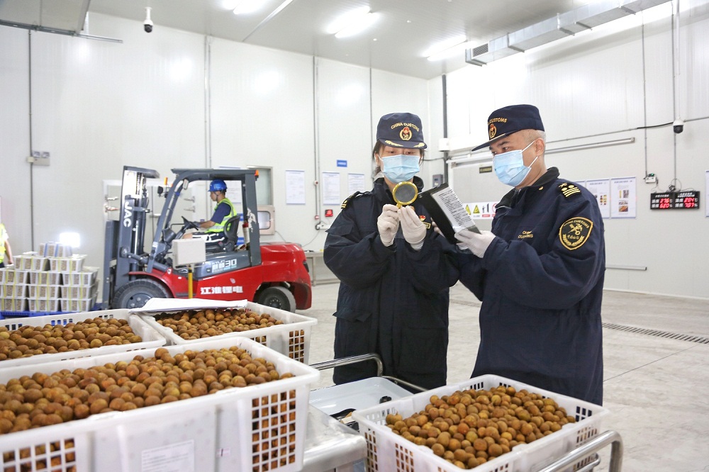 首票通关！江门海关开启江门进口水果 “直达时代”