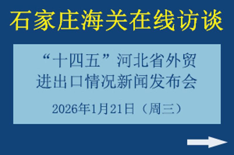 “十四五”河北省外贸进出口情况新闻发布会